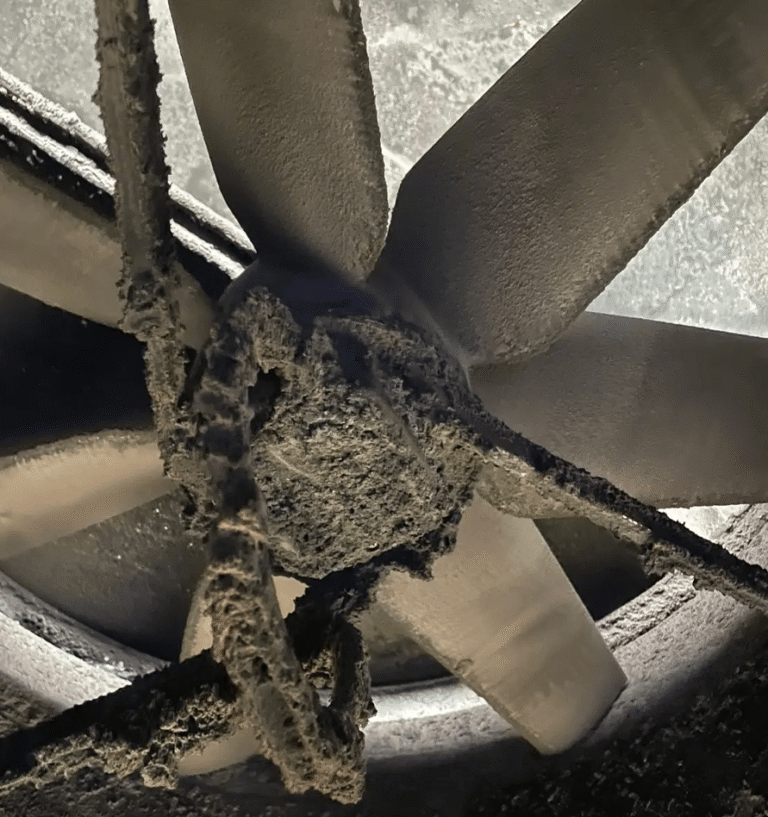 Atex Premier Cleaning Before