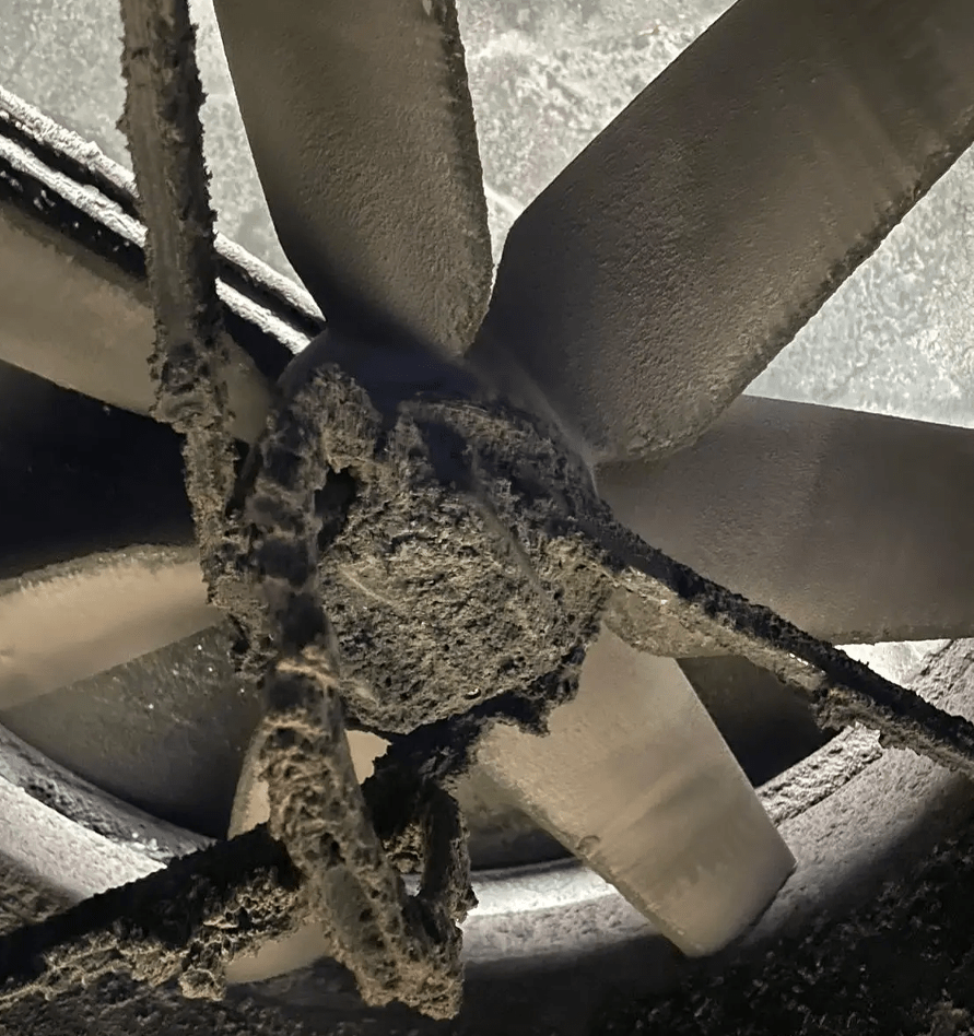 Atex Premier Cleaning Before